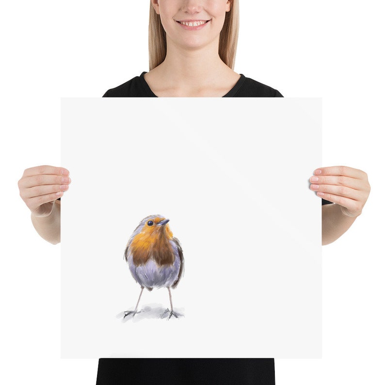 May include: A watercolor painting of a robin bird with a gray and white chest, orange breast, and black eyes. The bird is standing on a white background.