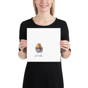 May include: A watercolor painting of a robin bird with a red breast, perched on a white background.