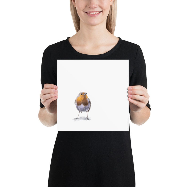 May include: A watercolor painting of a robin bird with a red breast, perched on a white background.