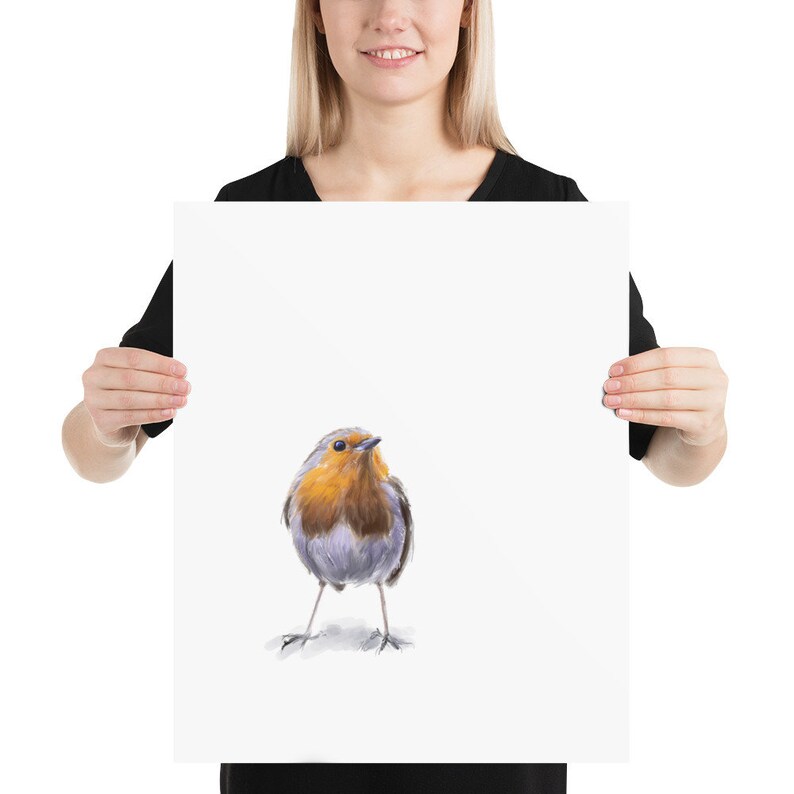 May include: A watercolor painting of a robin bird with a red breast, gray wings, and a white belly. The bird is standing on a white background.