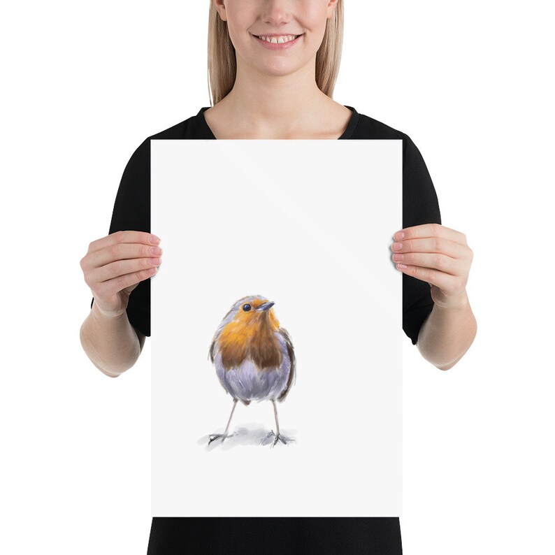 May include: A watercolor painting of a robin bird with a bright orange breast, gray wings, and a white belly. The bird is perched on a white background.