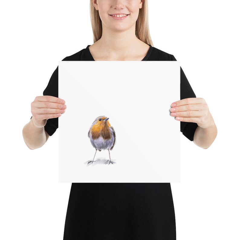 May include: A watercolor painting of a robin bird with a red breast, gray wings, and a white belly. The bird is standing on a white background.