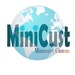 Customminiatures