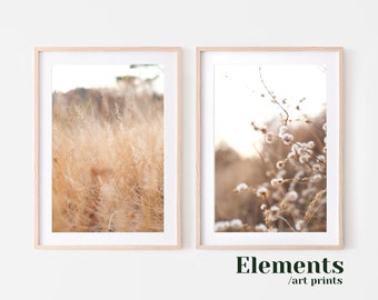 Botanical Print Set, Set of Two Prints, Floral Digital Prints, Original Printable Photography, Costa Rica