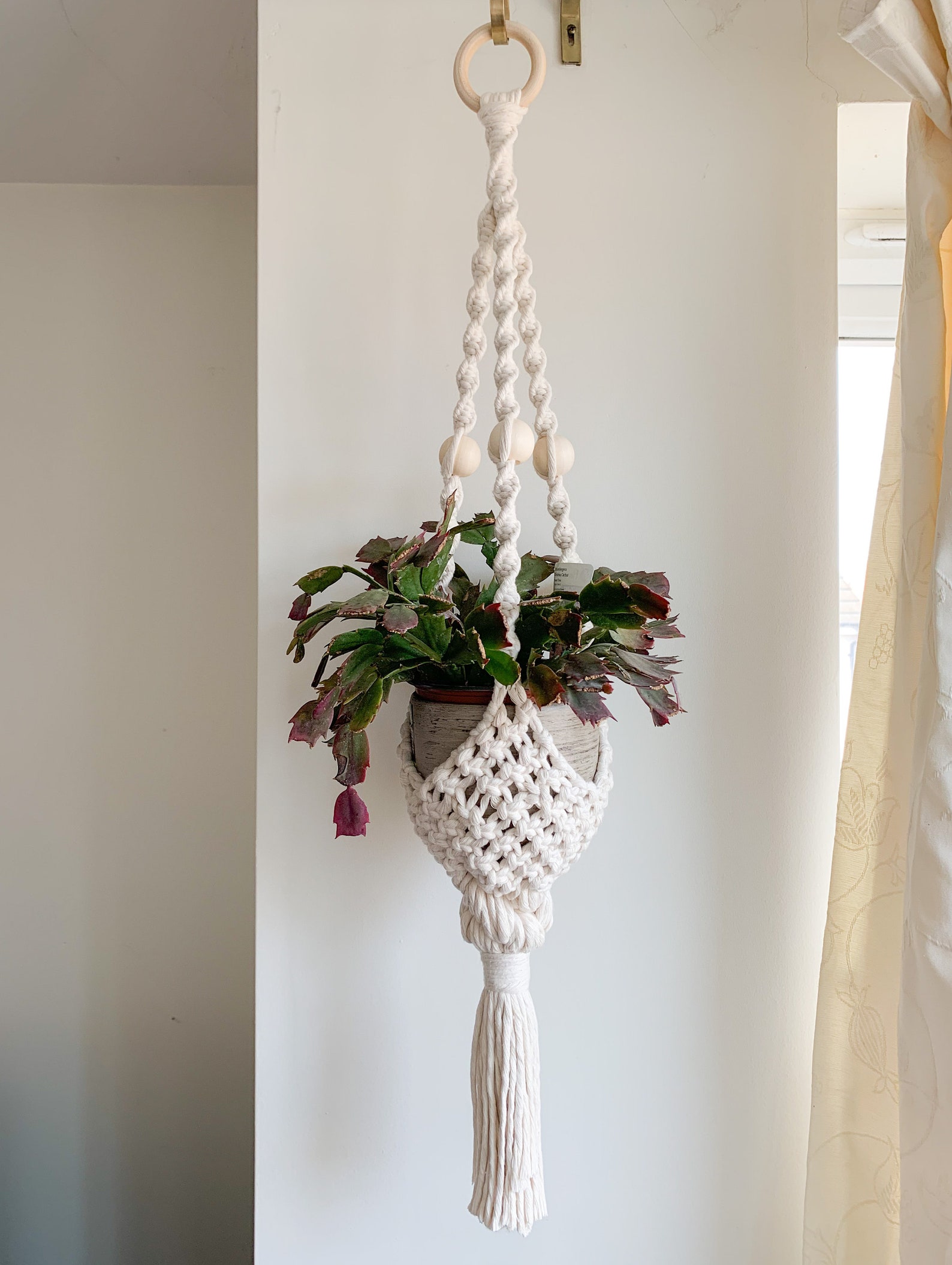 Intricate Boho Macrame Plant Hanger 'Chloe' Indoor | Etsy