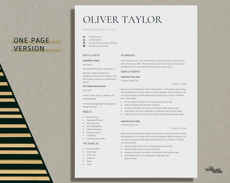 Google Docs Resume Template, Modern Sleek Cv Template Word, Professional Executive Resume Template, Simple Basic Resume, Minimalist Resume image 2