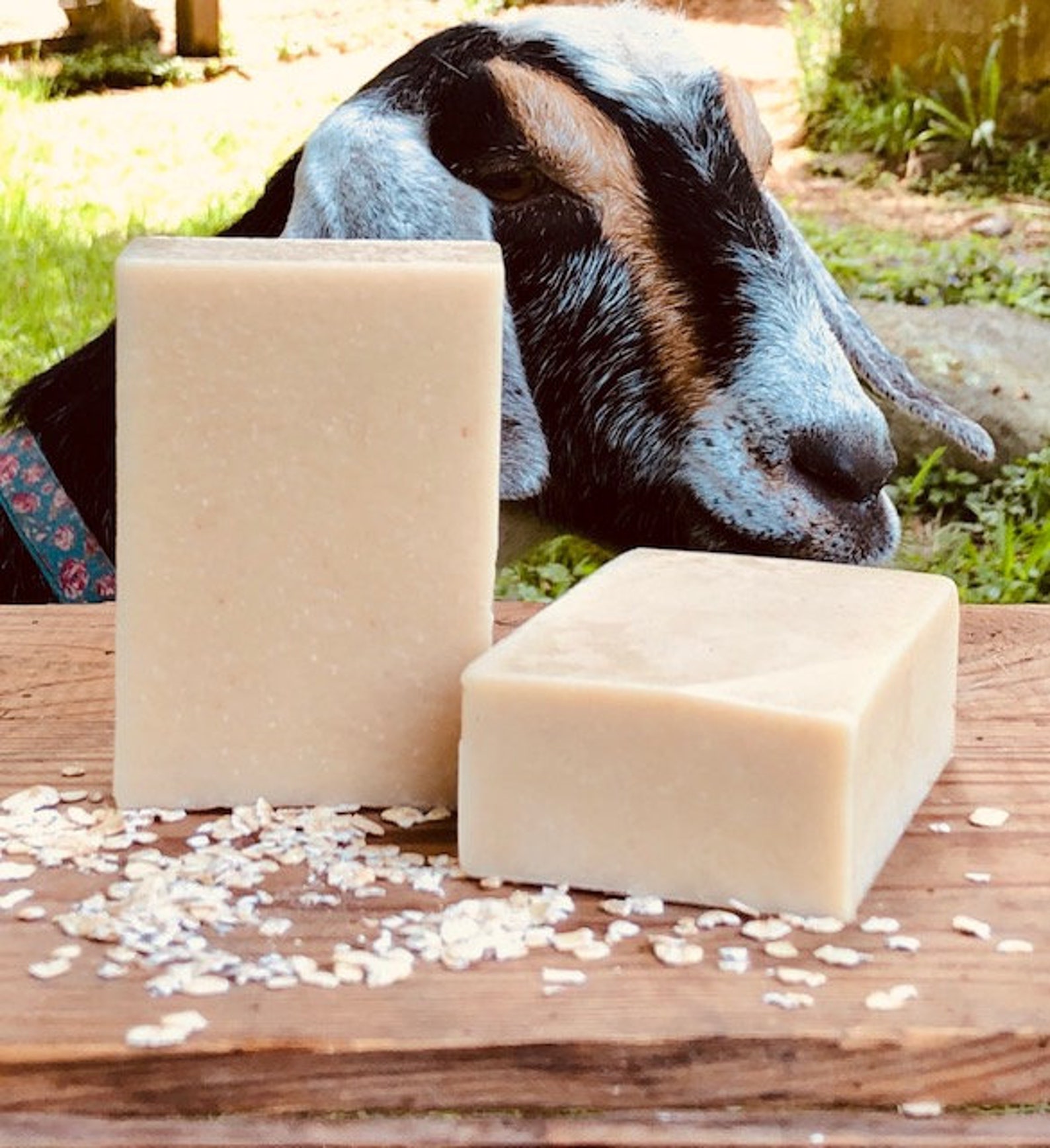 Unscented Goat's Milk Cold Process Soap Bars Etsy