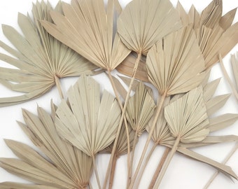 Palm Leaves for Craft Projects, Craft Project Supplies, Damaged Not Perfect Natural Palm Leaves, Real Dried Palm Leaves, Random Mix Shapes