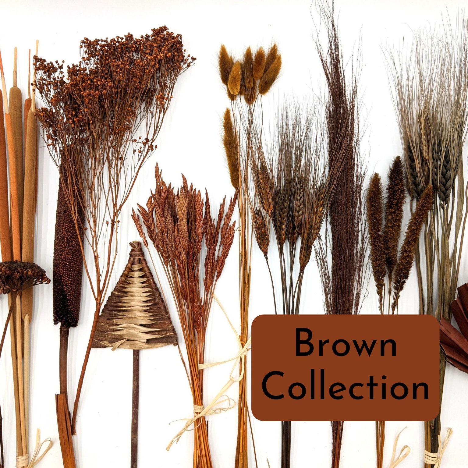 Bouquet Fiori Secchi Naturali - 50 Pezzi Lunghi 30-45cm Per Decorazioni - Foto 5