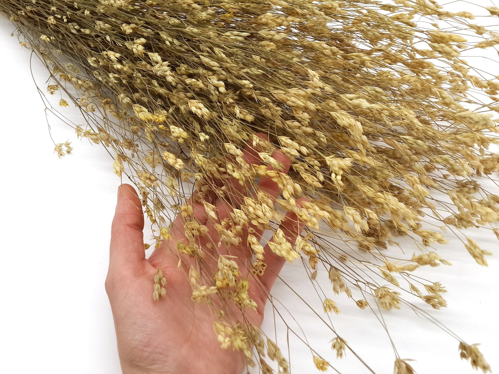 Dried Wild Flowers Dried Wildflowers Bunch Dried Wildflower - Etsy