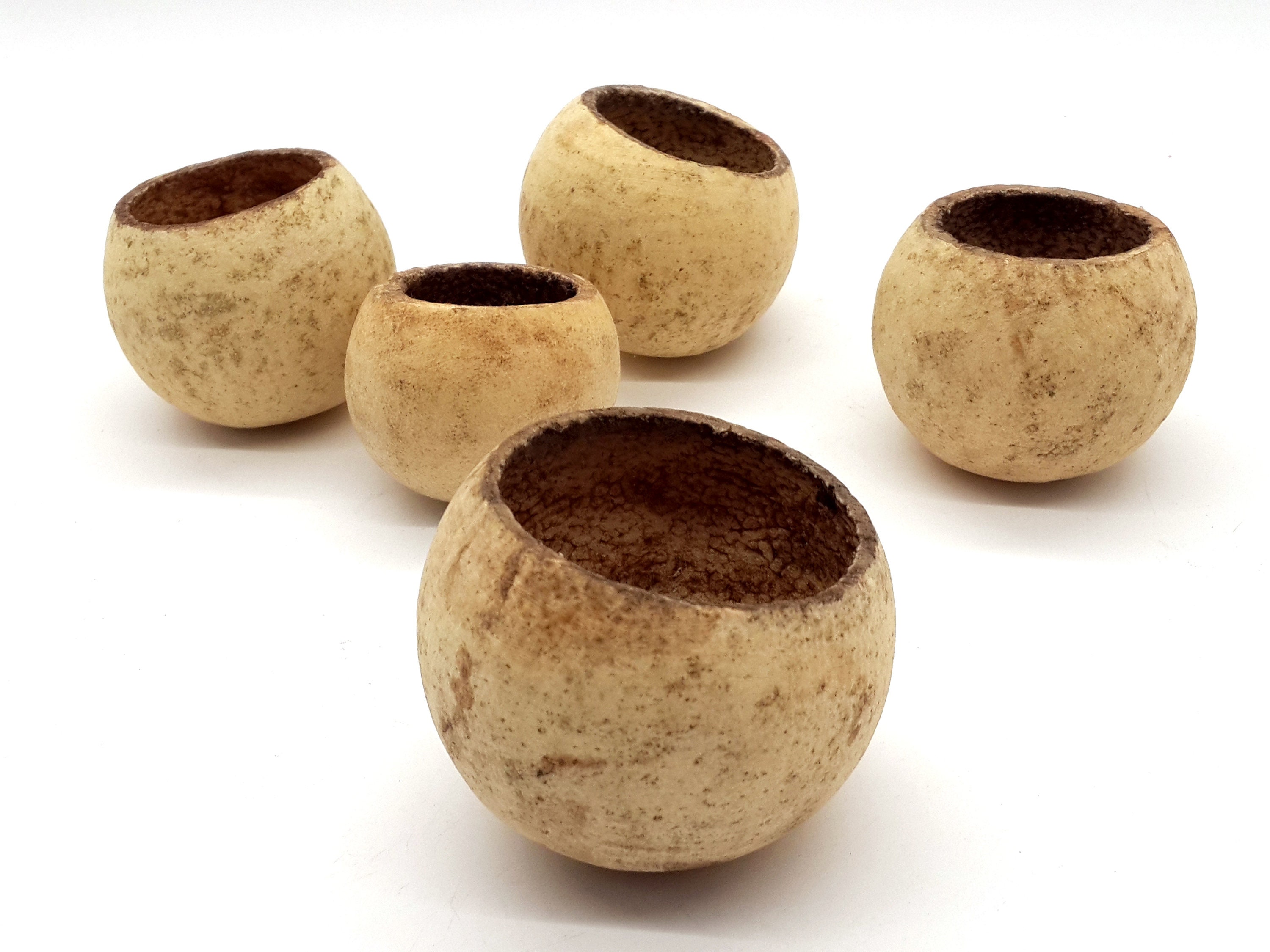 5 Natural Dried Pods Natural Bell Cup Pods Dried Potpourri Etsy UK