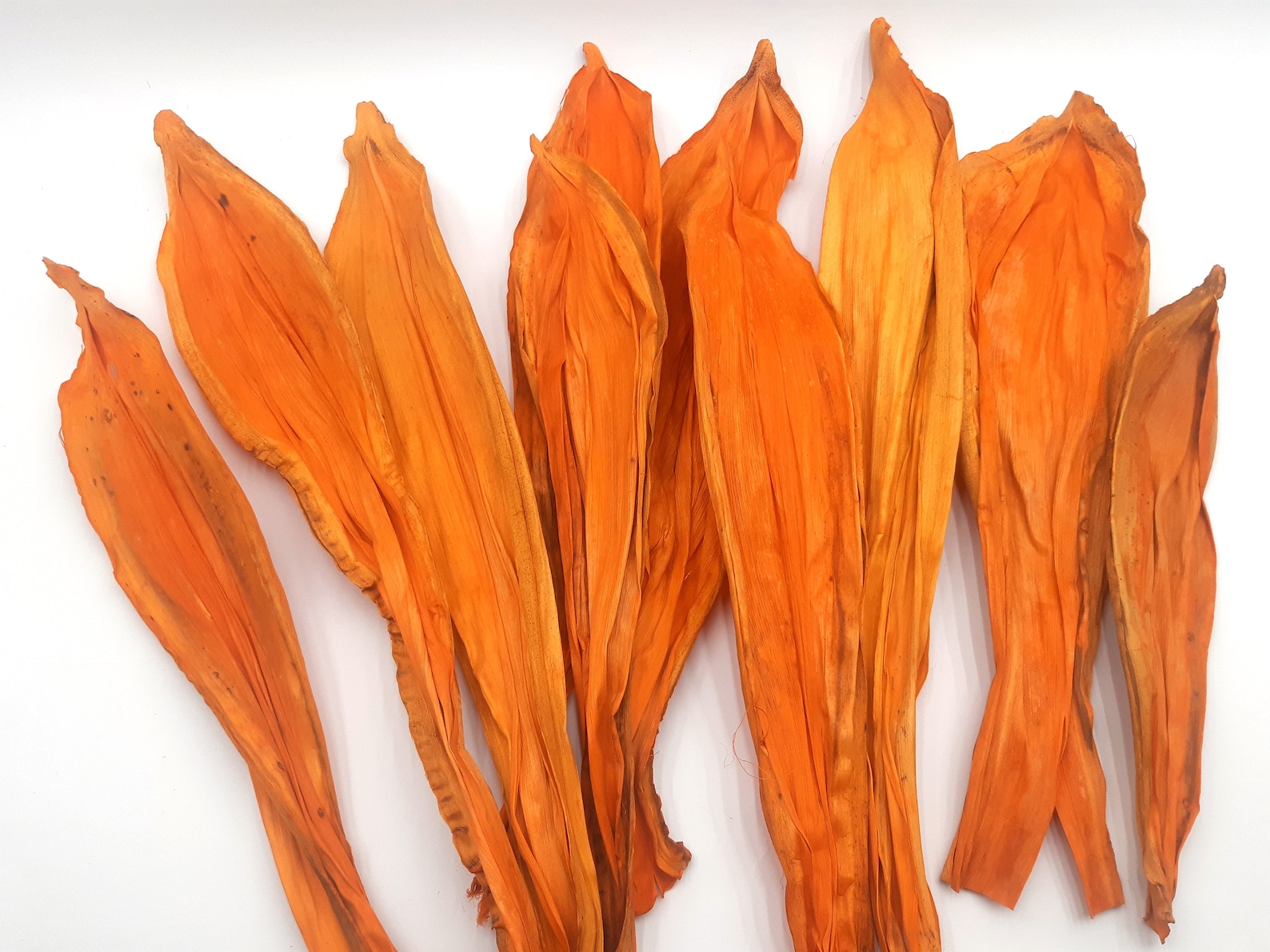 Orange Corn Husk Dried Corn Husk Corn Husk for Wreaths Etsy
