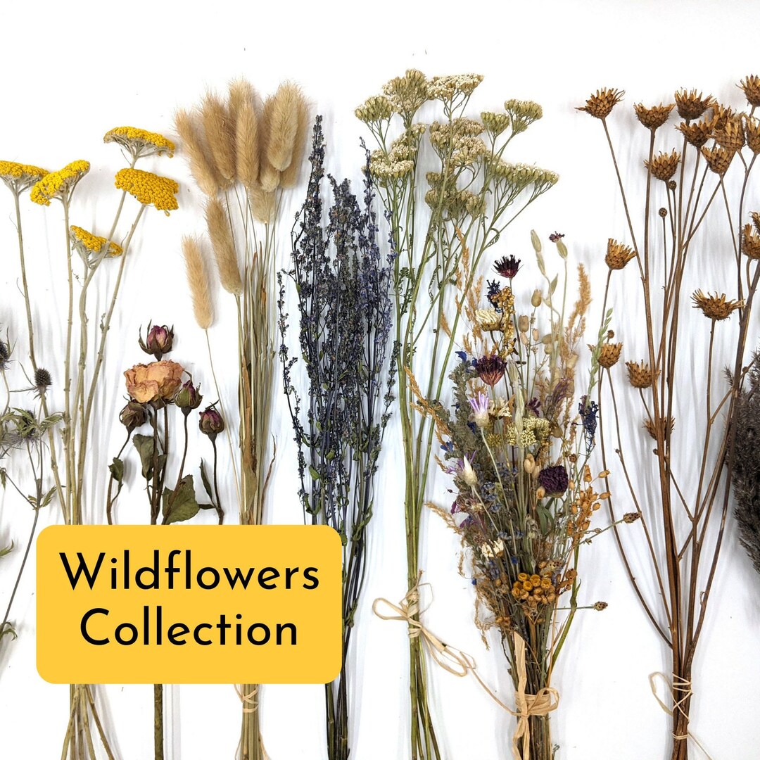 Dried Wildflowers Bouquet Small Dried Wildflowers - Etsy