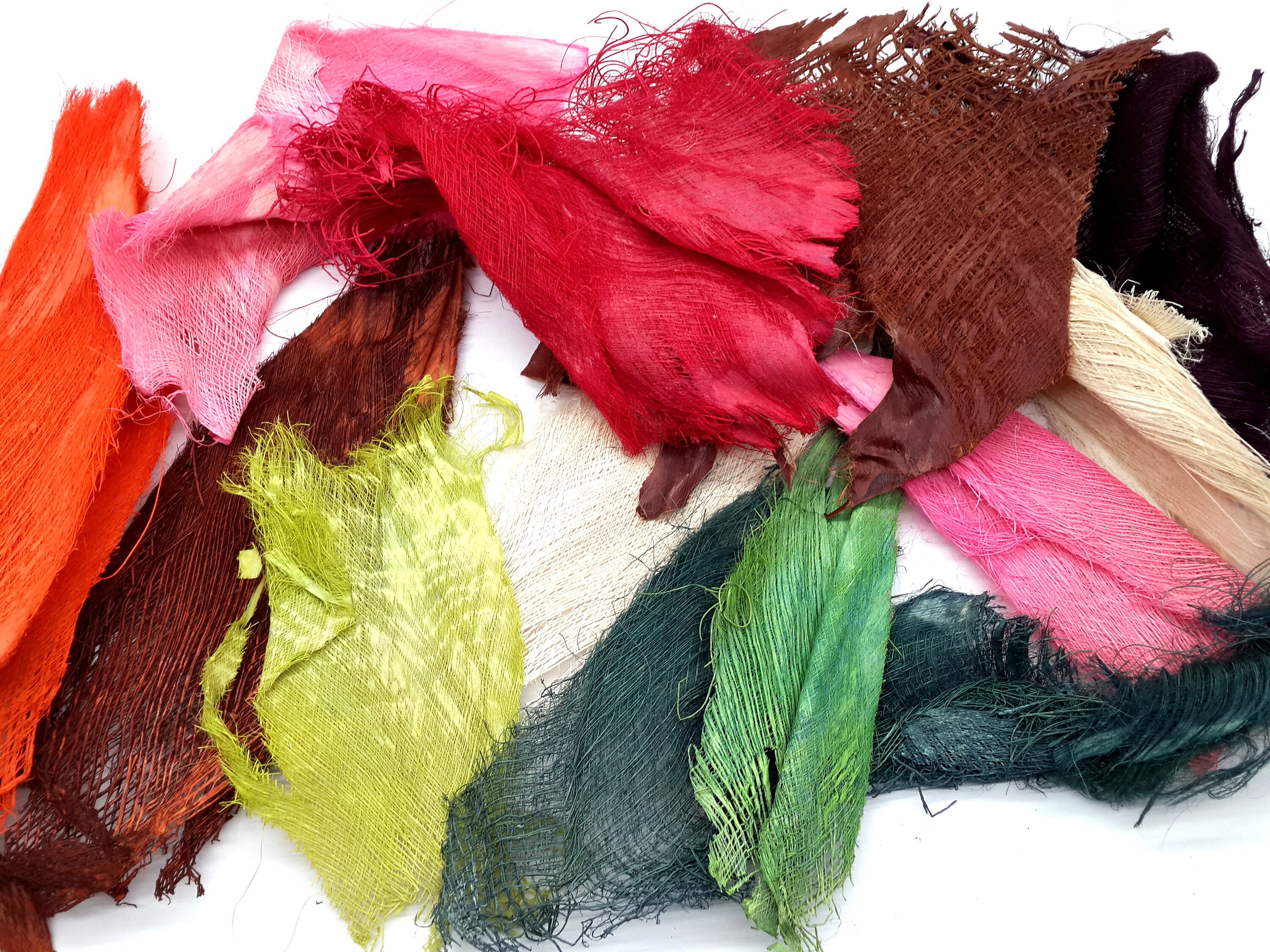 Palm Bark Fiber MIX Palm Tree Barks Tropical Decor Hawaii Etsy