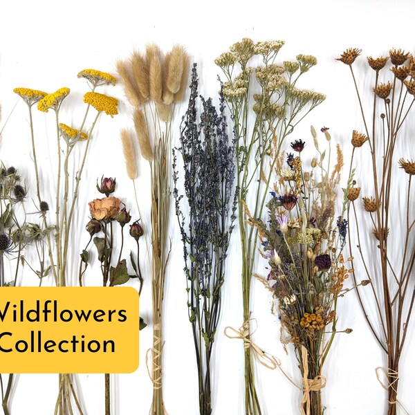 Dried Wildflowers Etsy