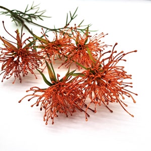 Protea Faux Flower, Red Orange Protea Artificial, Everlasting Faux Flower, Protea Branch Faux, Orange Protea Bouquet, Autumn Wedding Flowers