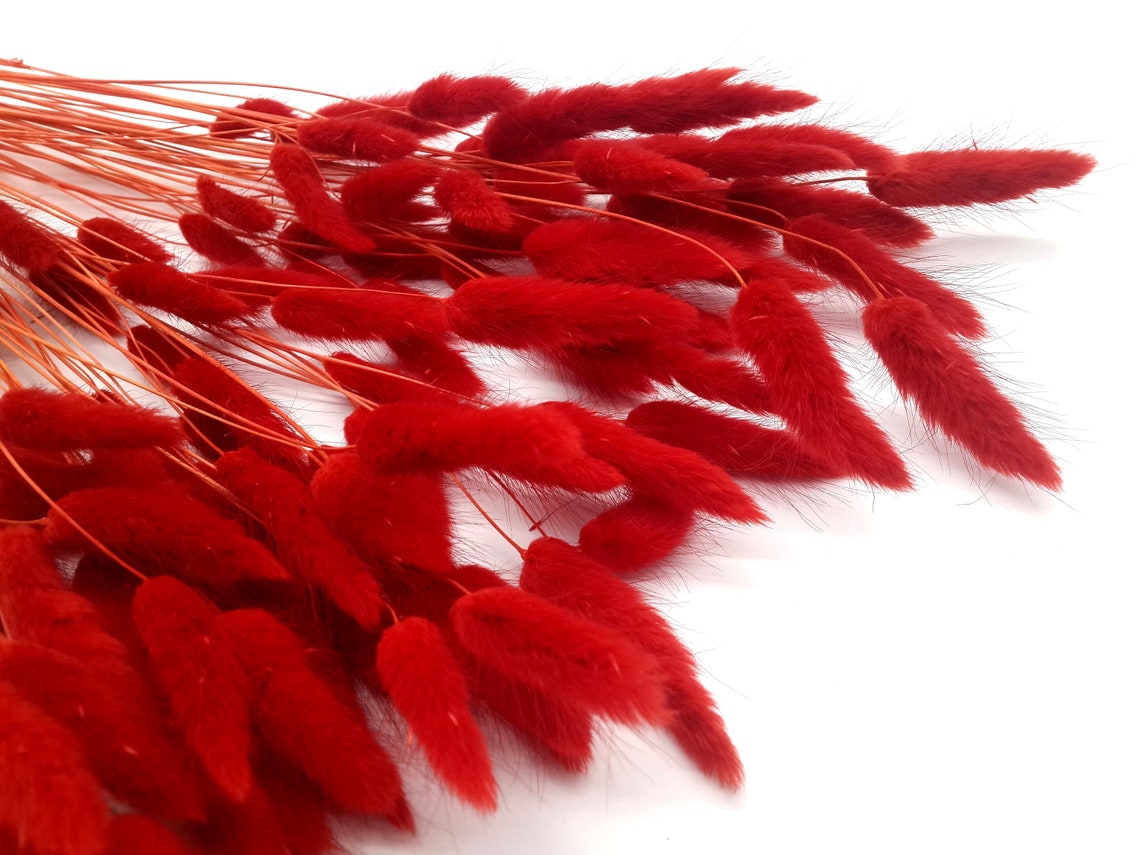 Bright Red Dried Bunch Dried Flowers Preserved Bouquet Dry Etsy