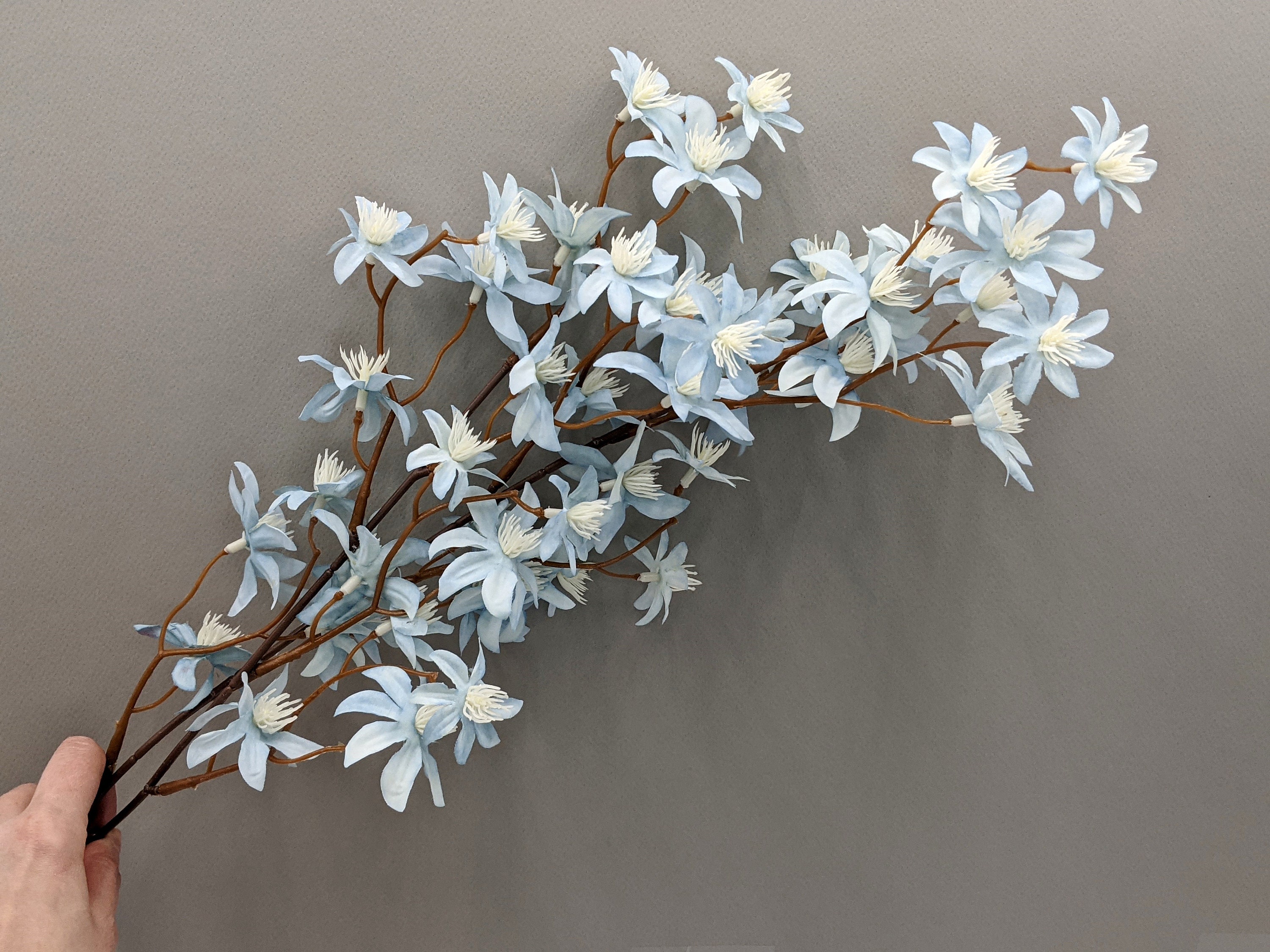 Jasmine Flowers - Etsy