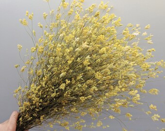 Fiori di campo gialli naturali, fiori selvatici secchi, fiori secchi biologici, bouquet di fiori selvatici, forniture per fioristi, centrotavola per matrimoni biologici