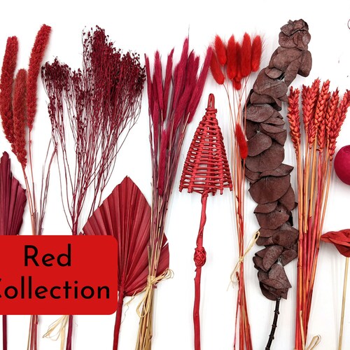 Mini Dried Bunches in Red Red Dried Flowers Small Flower Etsy