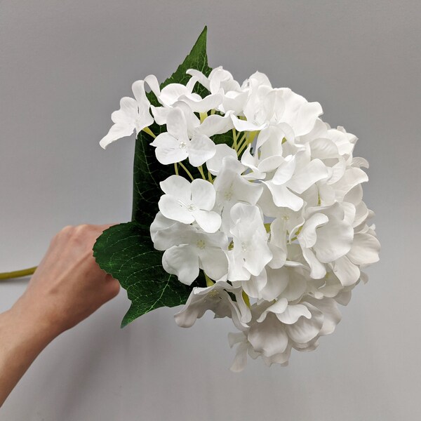 White Silk Hydrangea Etsy