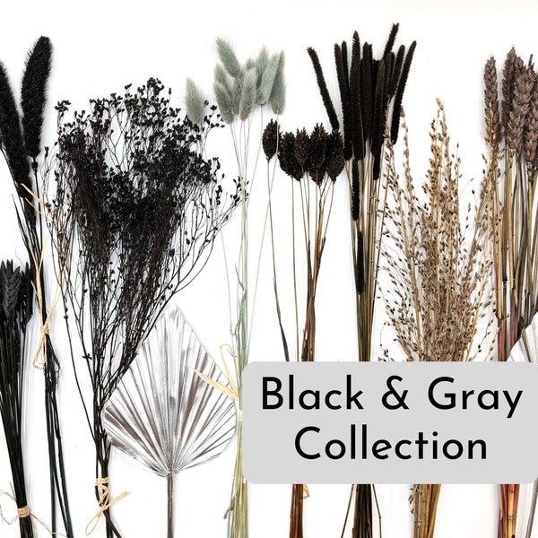 Black Dried Flowers Etsy