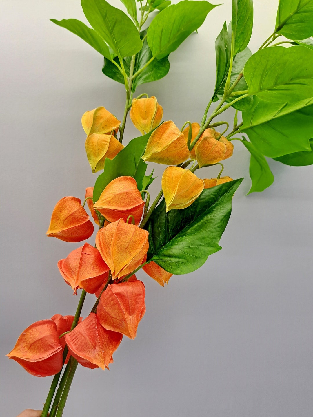 Realistic Artificial Physalis Branch Chinese Lantern Flowers Etsy