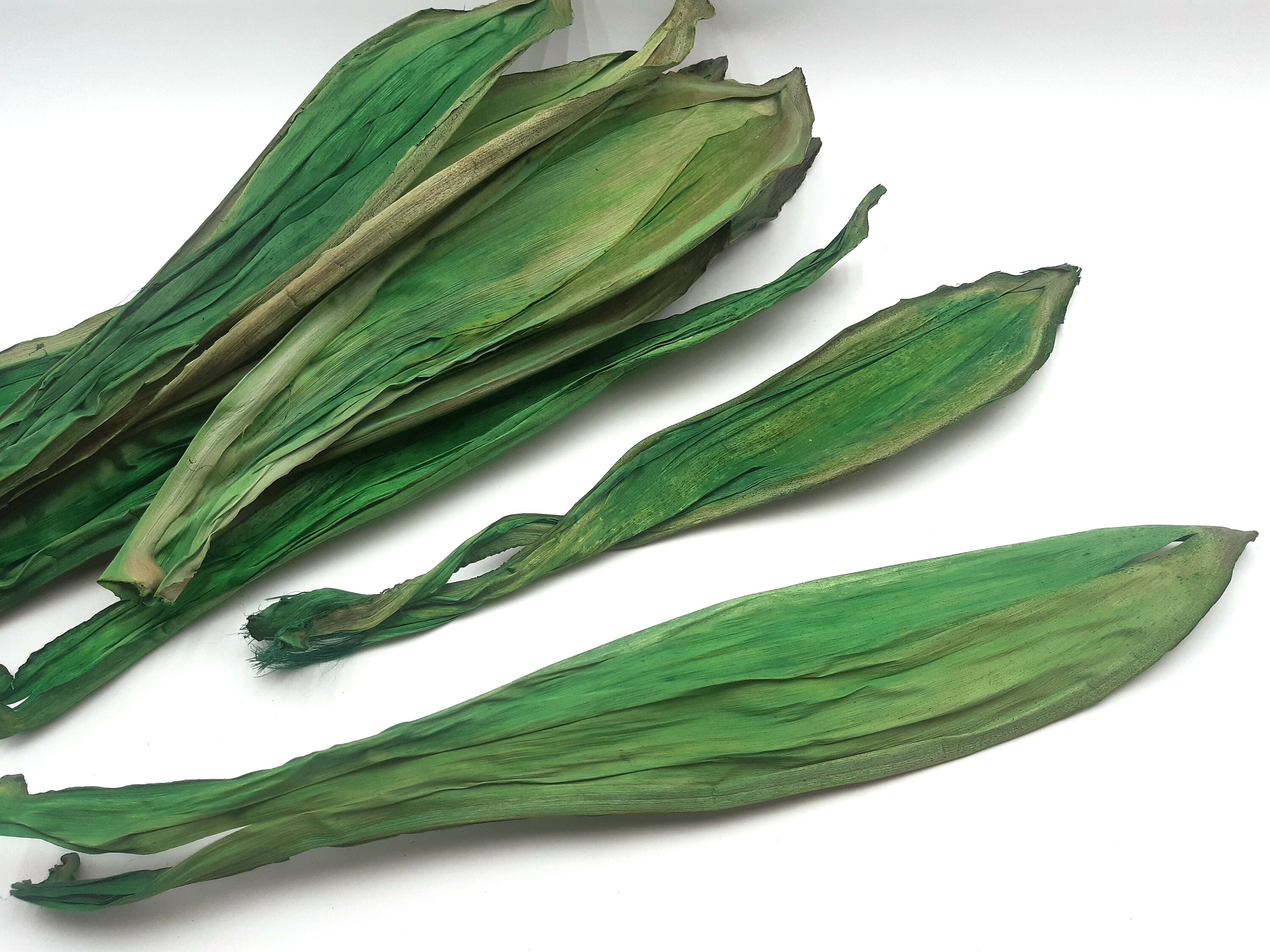Green Dried Corn Husk Natural Corn Husk Dried Husk for Etsy