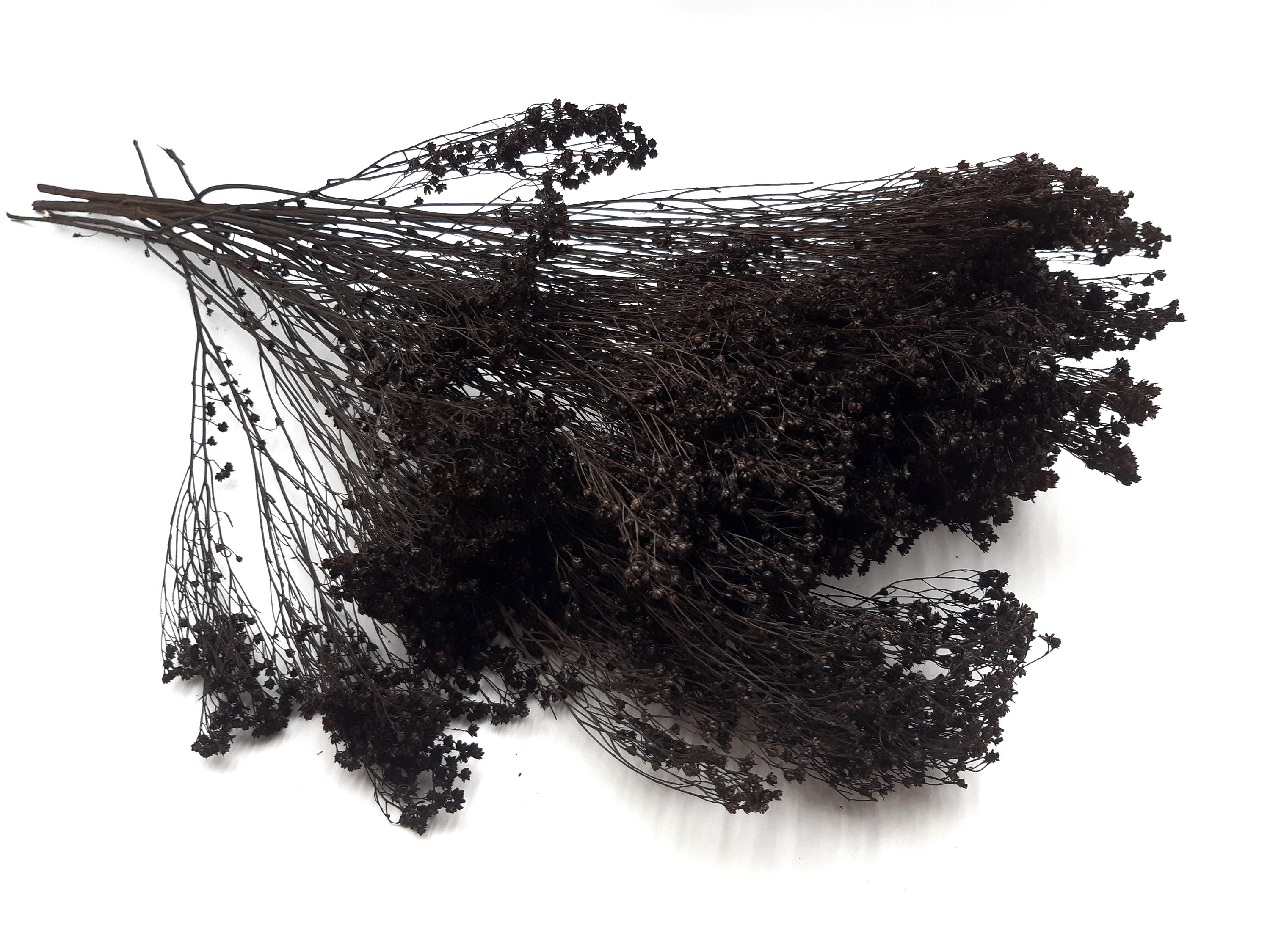 Black Dried Flowers Black Dried Grass Dried Flowers Bunch Etsy