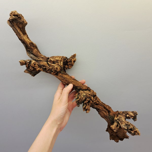 18 po. Vraie branche de vigne, branche de vigne séchée pour terrarium, branche en bois naturel, petit bois pour travaux manuels, décoration de vivarium, branche sèche, n° 4