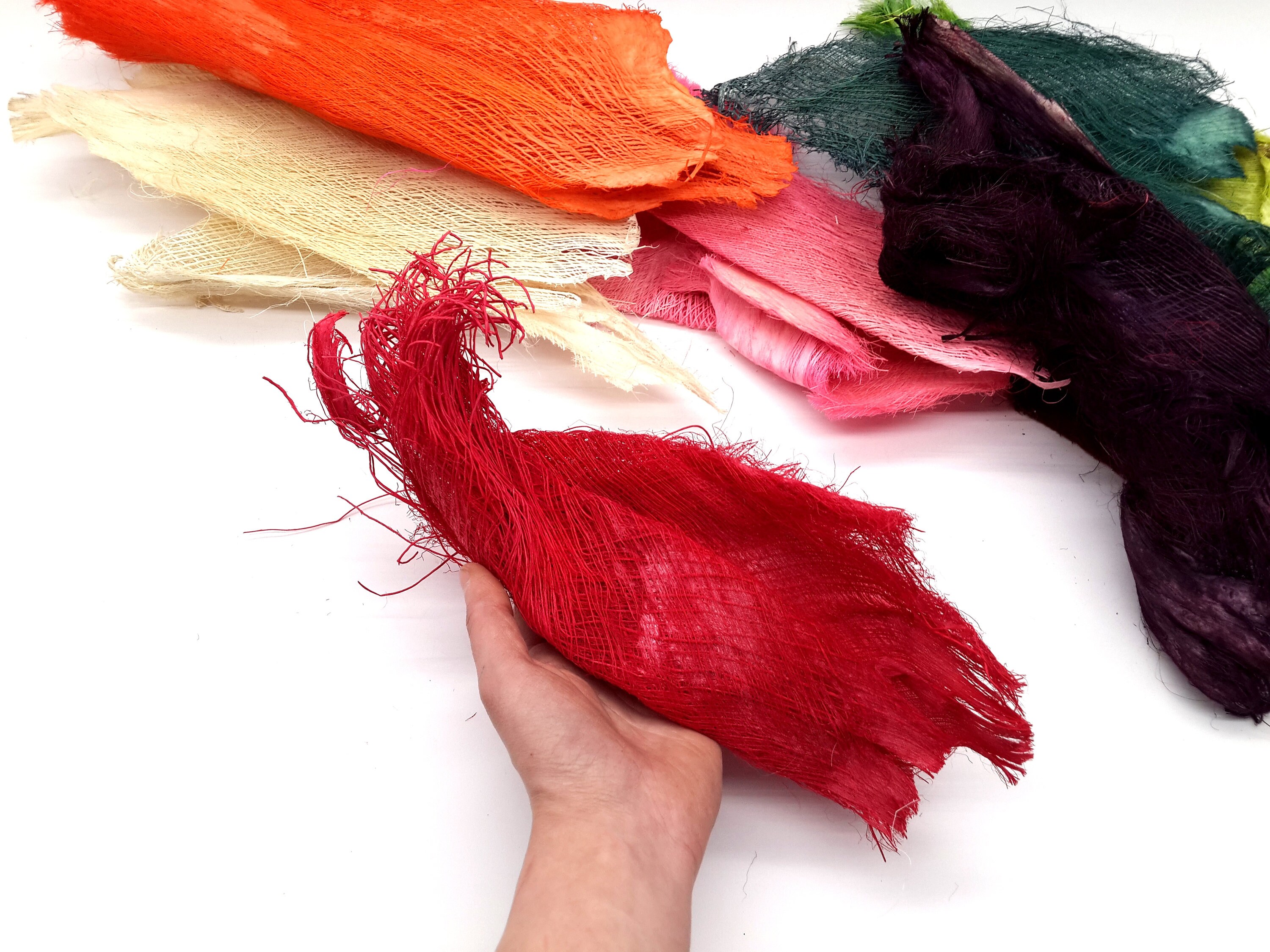 Palm Bark Fiber MIX Palm Tree Barks Tropical Decor Hawaii Etsy