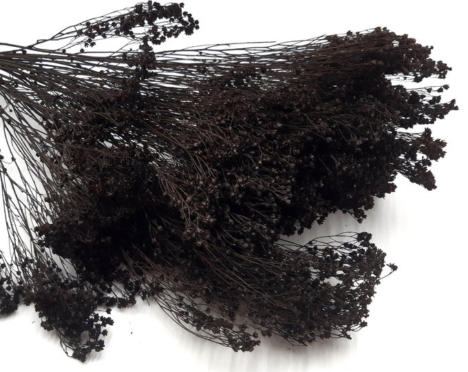 Black Dried Flowers Black Dried Grass Dried Flowers Bunch Etsy