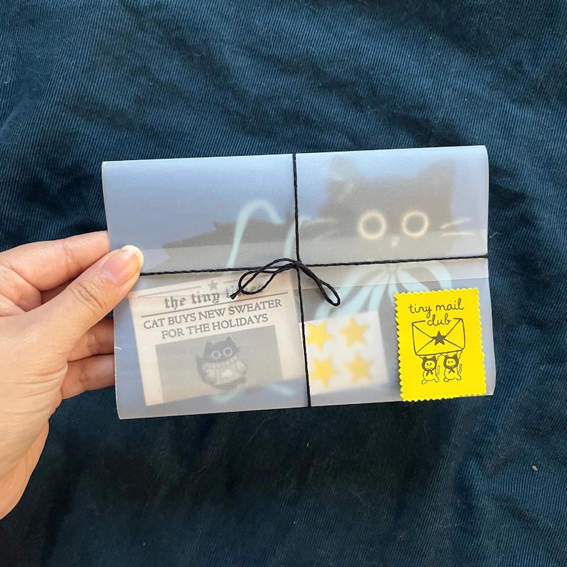 Puede incluir: Un sobre transparente atado con hilo negro, que contiene un recorte de peri&oacute;dico, pegatinas de estrellas amarillas y una pegatina amarilla de "tiny mail club". El recorte de peri&oacute;dico dice "CAT BUYS NEW SWEATER FOR THE HOLIDAYS". Se ve un gr&aacute;fico de gato negro.