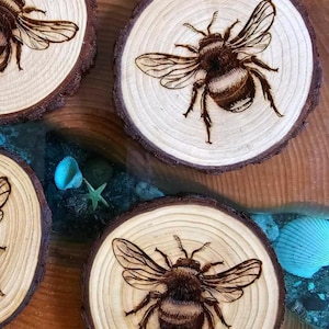 4-Zoll-Vancouver Island Honey Bee Westcoast Vibes Live Edge Holz Untersetzer 4-Zoll-Untersetzer, handgefertigt in Victoria, British Columbia, Kanada