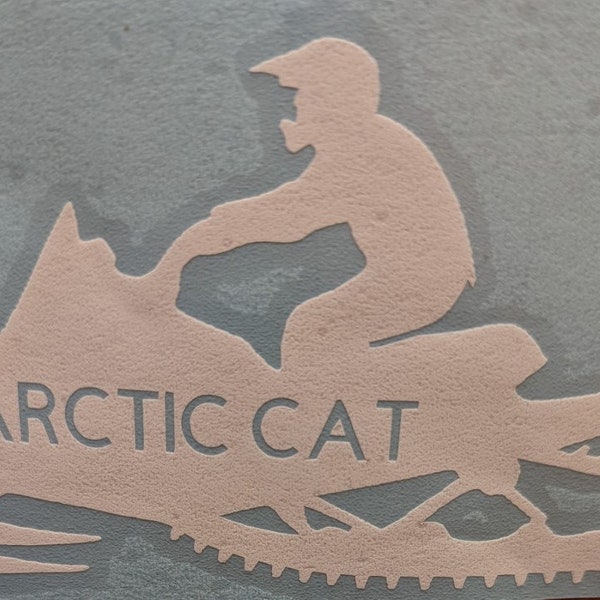 Arctic Cat Snowmobile guy rider