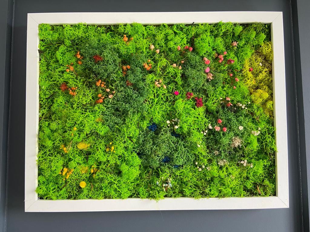 Mixed moss meadow frame Medium Etsy