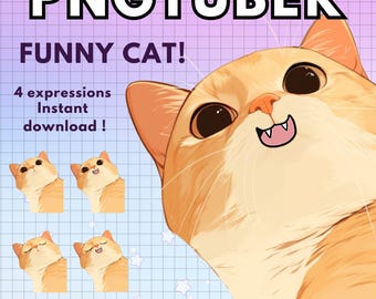 Modello Pngtuber gatto arancione / 4x Chibi Gamer Cat PNGTuber / Furry Cat Vtuber per streaming Twitch / Chibi PNG VTuber Avatar / Pronto all'uso