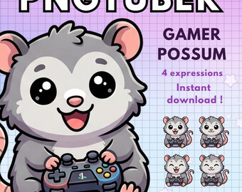 Possum Pngtuber Model Gamer Cute 4x Chibi Png tuber Avatars For Twitch Discord Youtube Streaming Animal Vtuber model Male Premade