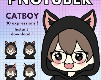catboy vtuber modello maschio con capelli castani! 10 avatar maschili ragazzo pngtuber / animale png tubero discordia reattiva e Twitch vtube gatto v-tuber