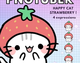 Cat Pngtuber Model | 4x Chibi Gamer Strawberry PNGTuber | Furry Cat Vtuber for Twitch Streaming | Chibi PNG VTuber Avatar | Ready to Use