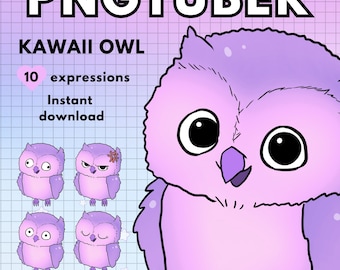 Owl Pngtuber model / Bird vtuber model premade For Twitch & Youtube Kawaii reactive png tuber / Use and Download for OBS Streamlabs