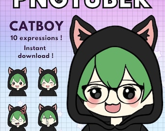 avatar maschili di ragazzo pngtuber / 10x modello catboy vtuber maschio con capelli verdi / Twitch vtube gatto v-tuber - discordia reattiva tubero png animale