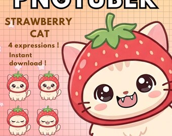 Pngtuber Cat Strawberry 4x | chibi Cat vtuber model For Twitch & Youtube Vtube Cute Food Streaming |  v-tuber ready to use Png tuber Kawaii