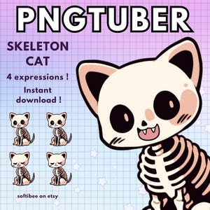 Modelo de esqueleto de gato en formato PNGtuber / Modelo de Chibi en formato PNGtuber / Gato en formato Vtuber / Superposición de Twitch / Modelo de chico tuber en formato PNG para Discord reactivo