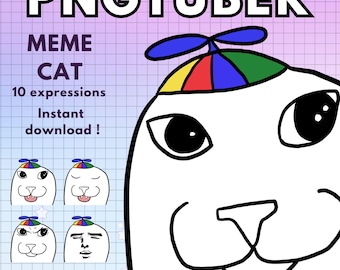 Meme Cat Pngtuber Avatar ! 10x Funny Png Tuber Premade Giftuber edition for Twitch Vtubers and Content Creators ! Cat Vtuber