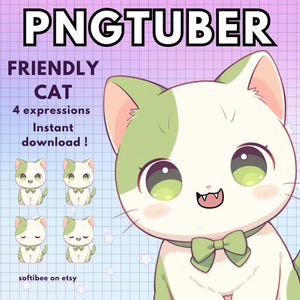 Pngtuber Cat Gamer Vtuber Model for Twitch | 4x Green Png Tuber Reactive Discord avatars | V-tuber Vtube Chibi Giftuber - INSTANT DOWNLOAD
