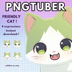 Pngtuber Cat Vtuber ! x4 Cat Png tuber chibi Cat Furry Vtuber Model for Twitch & Funny Pngtuber Pre made ! Discord Youtube Tiktok