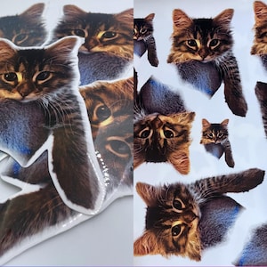 Stickers personnalisés découpés à l'emporte-pièce, créez votre propre sticker avec vos propres photos ! Autocollants découpés en vinyle imprimables, autocollants pour animaux de compagnie