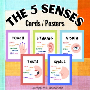 Five Senses Gift Tags & Card. Instant Download Printable. DIY Gift for  Friend, Boyfriend, Girlfriend. Valentines Birthday Christmas 5 Senses 