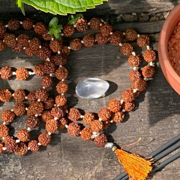 Rudraksha Mala Meditation Beads